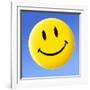 Smiley Face Symbol-Detlev Van Ravenswaay-Framed Photographic Print
