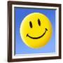 Smiley Face Symbol-Detlev Van Ravenswaay-Framed Photographic Print