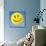 Smiley Face Symbol-Detlev Van Ravenswaay-Mounted Photographic Print displayed on a wall