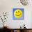 Smiley Face Symbol-Detlev Van Ravenswaay-Mounted Photographic Print displayed on a wall