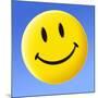 Smiley Face Symbol-Detlev Van Ravenswaay-Mounted Photographic Print