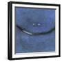 Smilin Eyes 1-Tim Nyberg-Framed Giclee Print