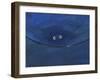 Smilin Eyes 2-Tim Nyberg-Framed Giclee Print