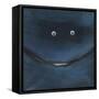 Smilin Eyes 3-Tim Nyberg-Framed Stretched Canvas