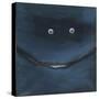 Smilin Eyes 3-Tim Nyberg-Stretched Canvas