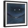 Smilin Eyes 3-Tim Nyberg-Framed Giclee Print