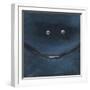 Smilin Eyes 3-Tim Nyberg-Framed Giclee Print