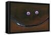 Smilin Eyes 4-Tim Nyberg-Framed Stretched Canvas