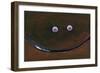 Smilin Eyes 4-Tim Nyberg-Framed Giclee Print