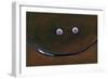 Smilin Eyes 4-Tim Nyberg-Framed Giclee Print