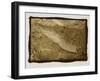 Smiling Alligator-Theo Westenberger-Framed Photographic Print