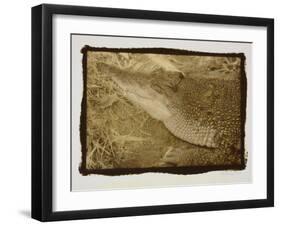 Smiling Alligator-Theo Westenberger-Framed Photographic Print