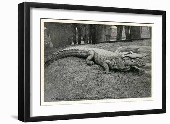 Smiling Alligator-null-Framed Art Print