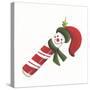 Smiling Candy Cane-Beverly Johnston-Stretched Canvas