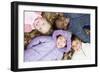 Smiling Children Lying on Autumn Leaves-Ian Boddy-Framed Photographic Print