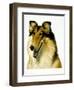 Smiling Colli-Harro Maass-Framed Giclee Print