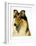 Smiling Colli-Harro Maass-Framed Giclee Print