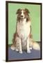 Smiling Collie-null-Framed Art Print