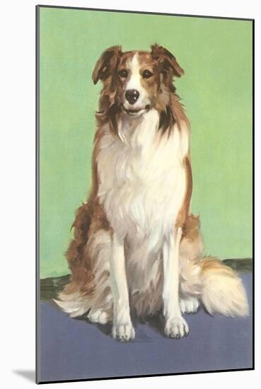 Smiling Collie-null-Mounted Art Print