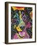 Smiling Collie-Dean Russo-Framed Giclee Print