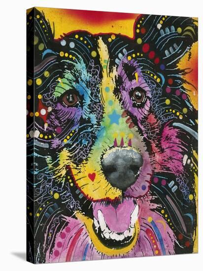 Smiling Collie-Dean Russo-Stretched Canvas