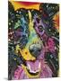 Smiling Collie-Dean Russo-Mounted Giclee Print