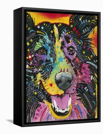 Smiling Collie-Dean Russo-Framed Stretched Canvas