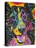 Smiling Collie-Dean Russo-Stretched Canvas