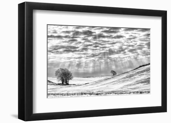 Smiling Down-Trent Foltz-Framed Art Print