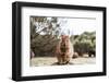 Smiling Quokka Posing for the Camera, Rottnest Island, Western Australia. Quokka - the Happiest Ani-Damian Lugowski-Framed Photographic Print