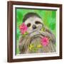 Smiling Sloth-Shari Warren-Framed Art Print