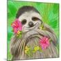 Smiling Sloth-Shari Warren-Mounted Art Print