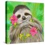 Smiling Sloth-Shari Warren-Stretched Canvas