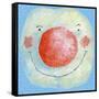 Smiling Snowman-David Cooke-Framed Stretched Canvas