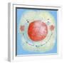 Smiling Snowman-David Cooke-Framed Giclee Print