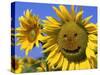 Smiling Sunflower-null-Stretched Canvas