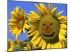 Smiling Sunflower-null-Mounted Photographic Print