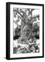 Smiling Tree-Giuseppe Torre-Framed Premium Photographic Print