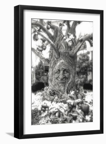 Smiling Tree-Giuseppe Torre-Framed Premium Photographic Print