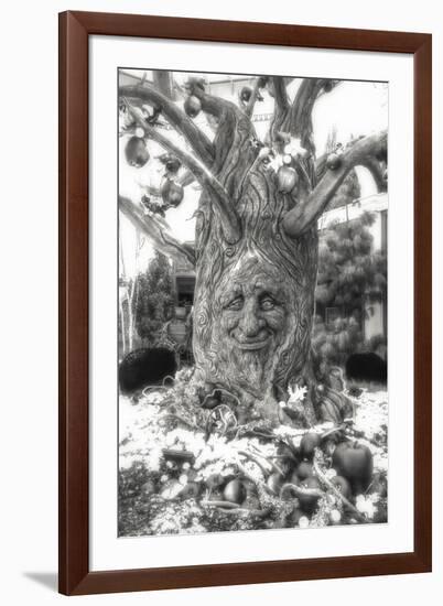 Smiling Tree-Giuseppe Torre-Framed Photographic Print