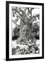 Smiling Tree-Giuseppe Torre-Framed Photographic Print