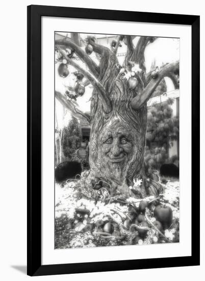 Smiling Tree-Giuseppe Torre-Framed Photographic Print