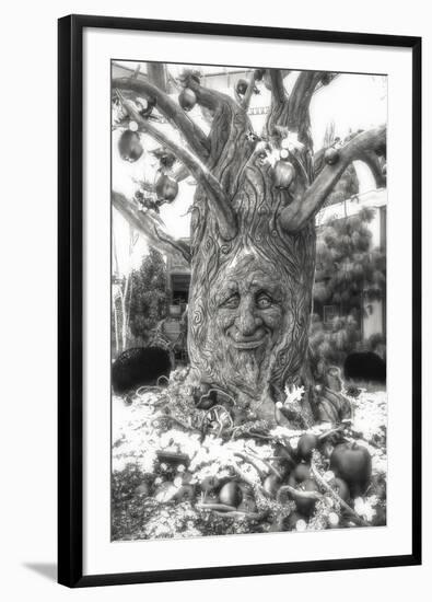 Smiling Tree-Giuseppe Torre-Framed Photographic Print