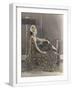 White Frame