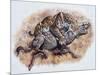 Smilodon (Dirk Sabertooth) Killing a Platygonus-null-Mounted Art Print