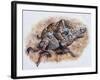 Smilodon (Dirk Sabertooth) Killing a Platygonus-null-Framed Art Print