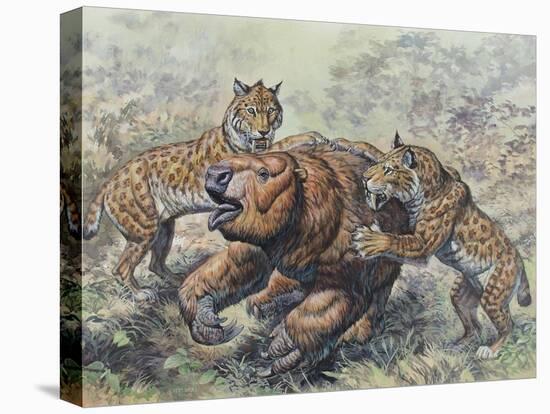 Smilodon Dirk-Toothed Cats Attacking a Glossotherium-null-Stretched Canvas