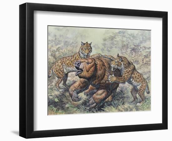 Smilodon Dirk-Toothed Cats Attacking a Glossotherium-null-Framed Art Print