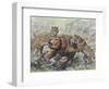 Smilodon Dirk-Toothed Cats Attacking a Glossotherium-null-Framed Art Print