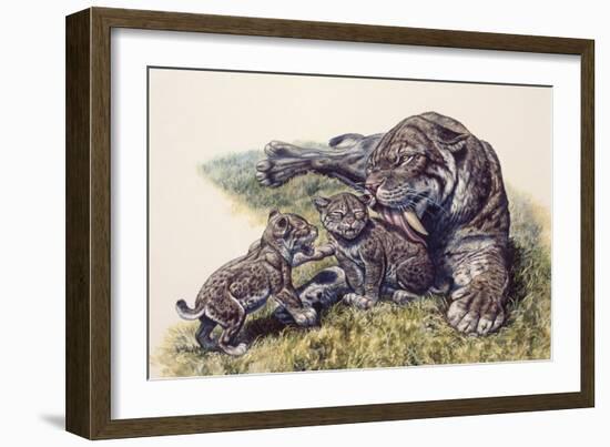 Smilodon Sabertooth Mother and Her Cubs-null-Framed Art Print